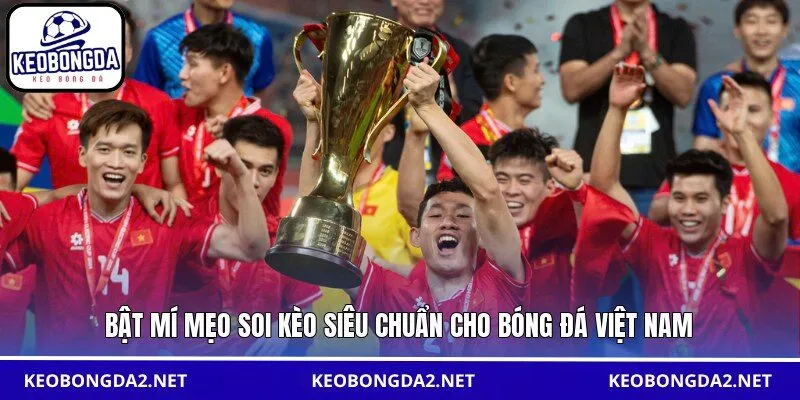 Bật mí mẹo soi kèo siêu chuẩn cho bóng đá Việt Nam