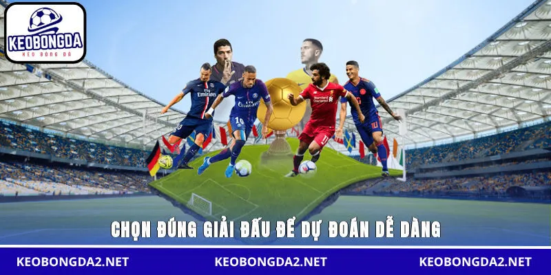 Chọn đúng giải đấu để dự đoán dễ dàng