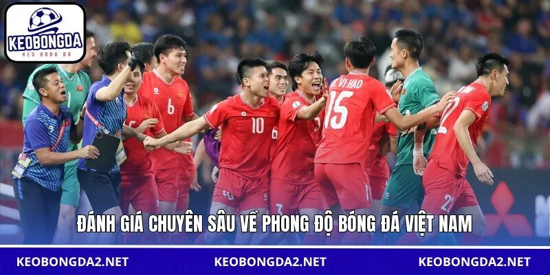 Đánh giá chuyên sâu về phong độ bóng đá Việt Nam
