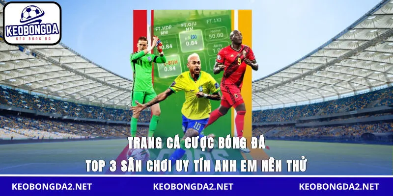 trang cá cược bóng đá